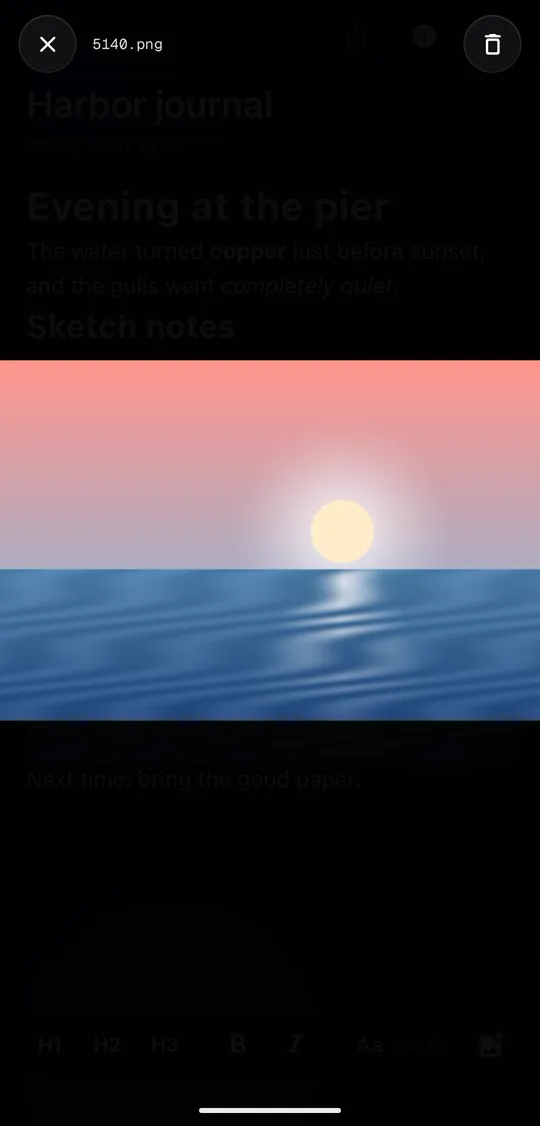Image viewer